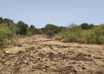 IMG20240621111255.jpg - Rustic Via dell'Opale 14, Siracusa - photo 7