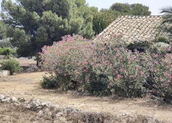 IMG20240621111329.jpg - Rustic Via dell'Opale 14, Siracusa - photo 17