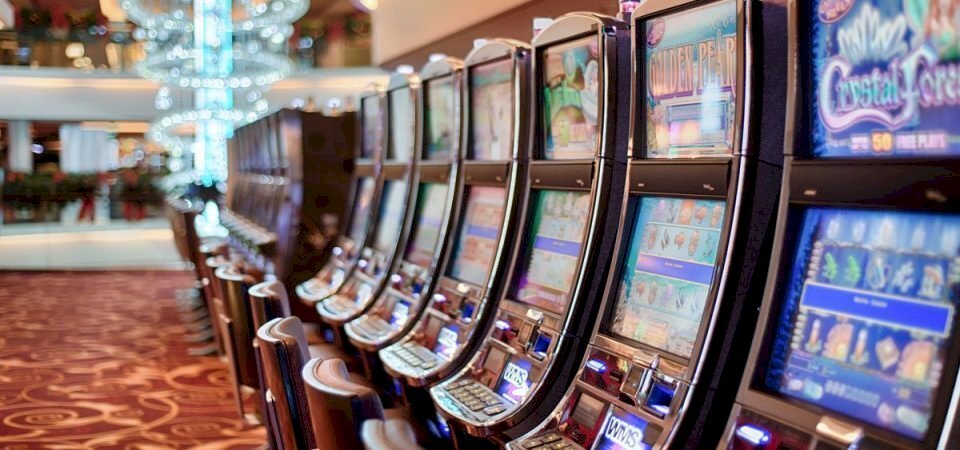 80073-960x450.jpg - Bar - Tobacco - Ricevitoria Porta San Maria, Lucca - photo 1