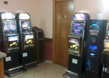 342 original 1462277774-1.jpg - Bar - Tabacchi - Ricevitoria Porta San Maria, Lucca - foto 2