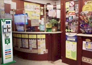 130619715-61a46e4c-1aba-4a20-aee1-b43e3768a1f5.jpg - Bar - Tabacchi - Ricevitoria Porta San Maria, Lucca - foto 3