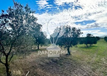 Terreno agricolo Contrada Manostalla, Balestrate - foto 4