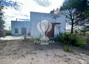 Terreno agricolo Contrada Manostalla, Balestrate - foto 6