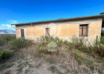 Terreno agricolo Contrada Manostalla, Balestrate - foto 8