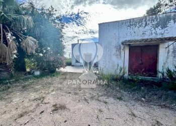 Terreno agricolo Contrada Manostalla, Balestrate - foto 10