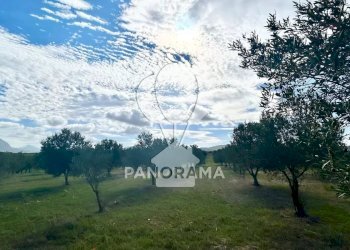 Terreno agricolo Contrada Manostalla, Balestrate - foto 11