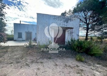 Terreno agricolo Contrada Manostalla, Balestrate - foto 13