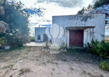 Terreno agricolo Contrada Manostalla, Balestrate - foto 15