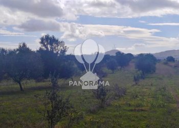 Terreno agricolo Contrada Manostalla, Balestrate - foto 21