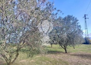 Terreno agricolo Contrada Manostalla, Balestrate - foto 27