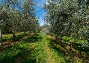 Villa Via san vincenzo, Bibiana - foto 11