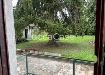 Villa Lucca (neighborhood San Marco) - photo 9