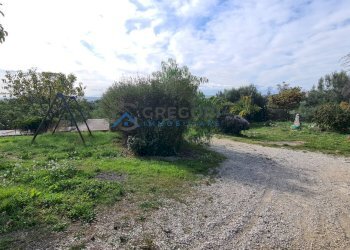 Appartamento CONTRADA CALGIANO, Mosciano Sant'Angelo - foto 22