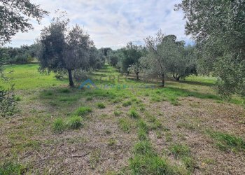 Appartamento CONTRADA CALGIANO, Mosciano Sant'Angelo - foto 25