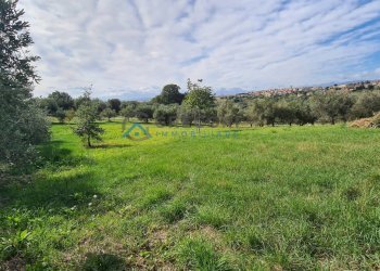 Appartamento CONTRADA CALGIANO, Mosciano Sant'Angelo - foto 26