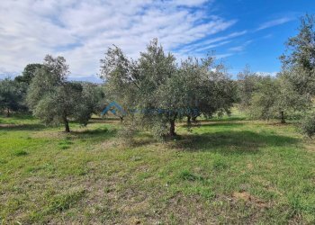 Appartamento CONTRADA CALGIANO, Mosciano Sant'Angelo - foto 27