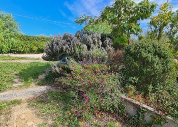 Appartamento CONTRADA CALGIANO, Mosciano Sant'Angelo - foto 28