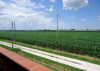 Bilocale casaglia, Ferrara - foto 10