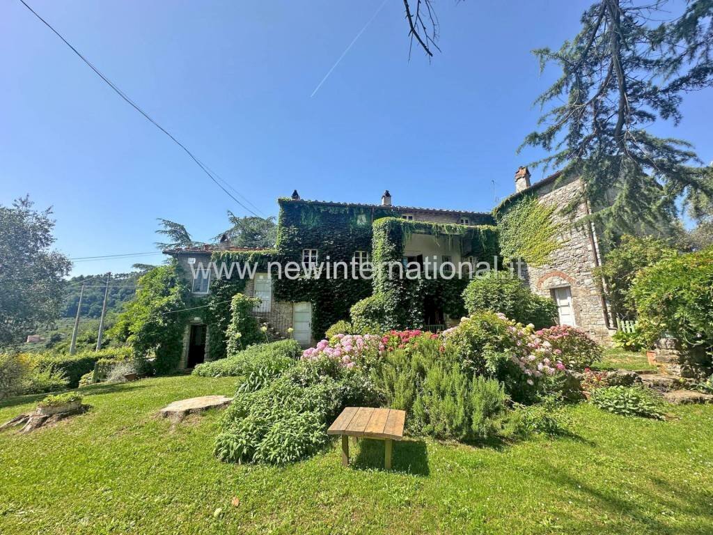 Giardino - Rustico via Seimiglia, Camaiore - foto 1