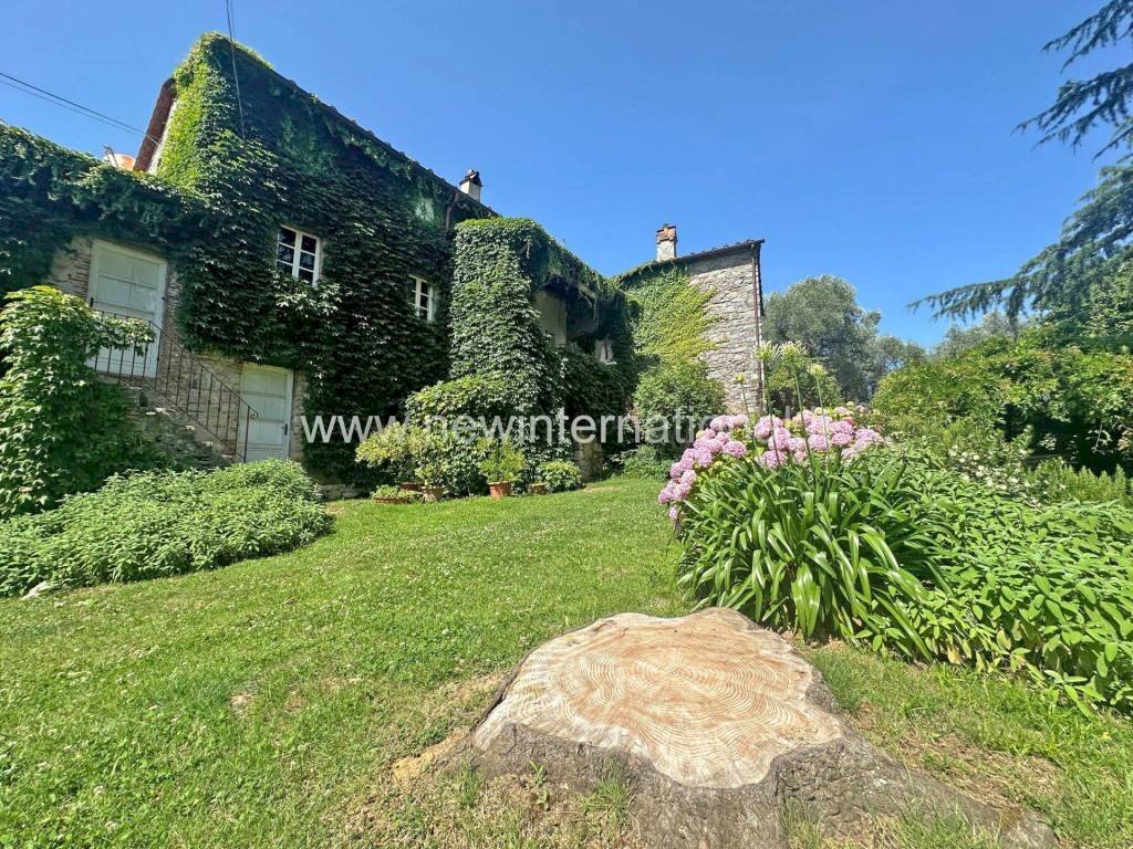 Giardino - Rustico via Seimiglia, Camaiore - foto 2