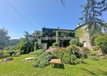 Giardino - Rustico via Seimiglia, Camaiore - foto 1