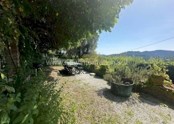 Giardino - Rustico via Seimiglia, Camaiore - foto 12