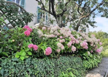 VIALE D\'INGRESSO - Villa viale Acquedotto Romano, 49, Acqui Terme - foto 7