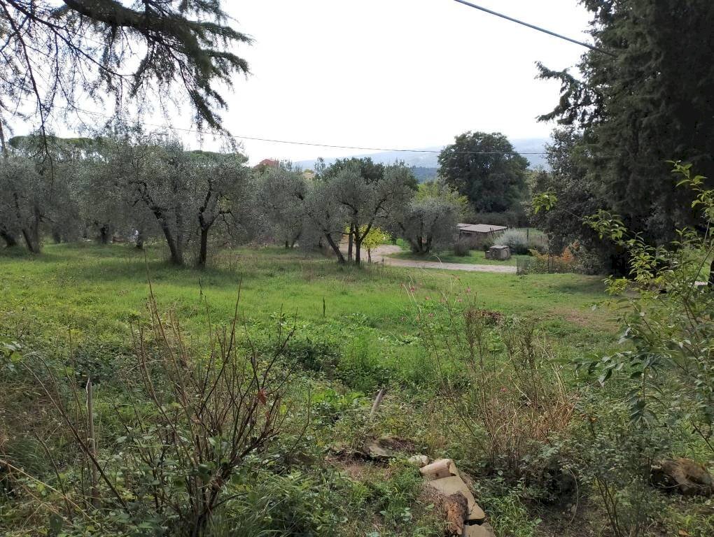 Terreno - Rustico Località Poggente, Orvieto - foto 2