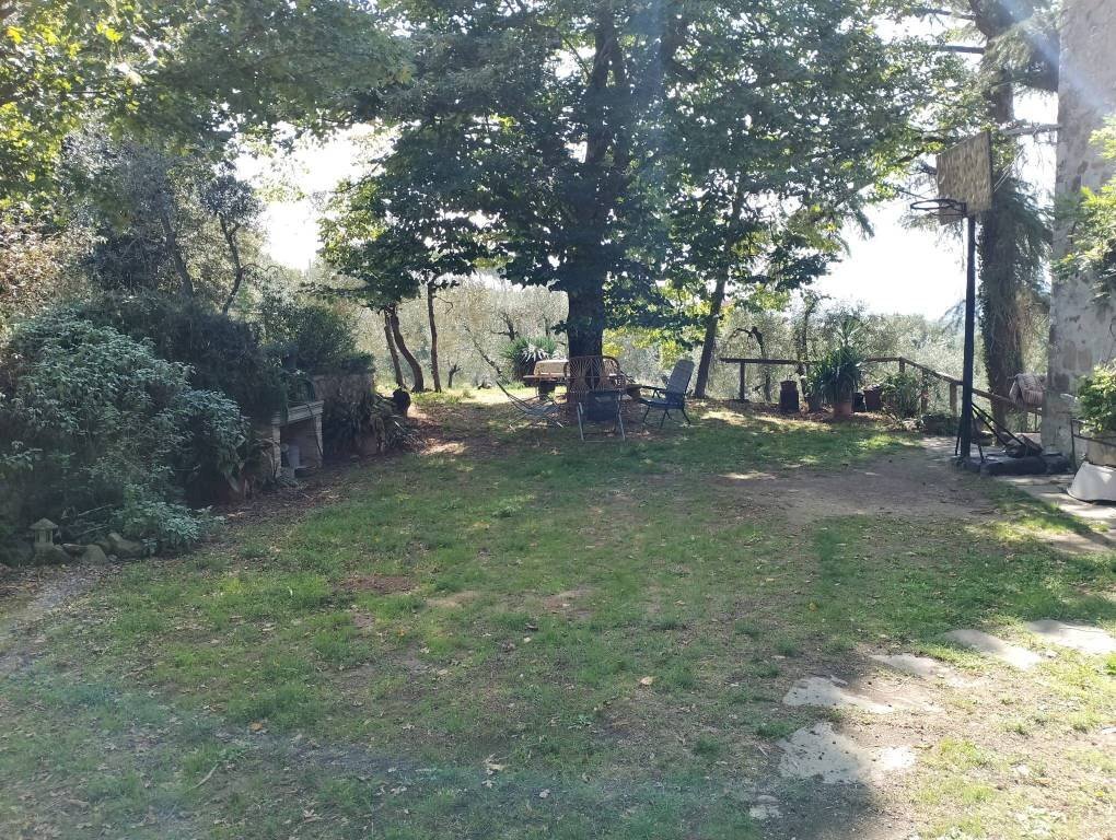 Terreno - Rustico Località Poggente, Orvieto - foto 3