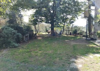 Terreno - Rustico Località Poggente, Orvieto - foto 3