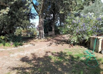 Terreno - Rustico Località Poggente, Orvieto - foto 4