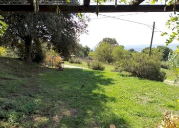 Terreno - Rustico Località Poggente, Orvieto - foto 29