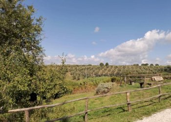 Terreno - Rustico Località Poggente, Orvieto - foto 36