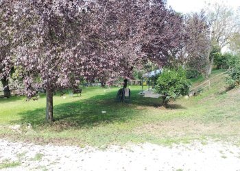 Terreno - Rustico Località Poggente, Orvieto - foto 41