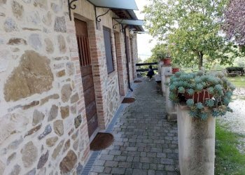 Giardino - Rustico Località Poggente, Orvieto - foto 43