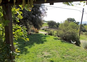 Giardino - Rustico Località Poggente, Orvieto - foto 46