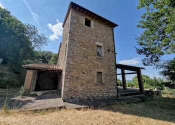 20240718_155803.jpg - Casale CIVITELLA DEL LAGO, Baschi - photo 12