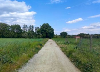 stone farmhouse umbria (20).jpg - Casale VIA DEL POGGIO, Monte Castello di Vibio - foto 8
