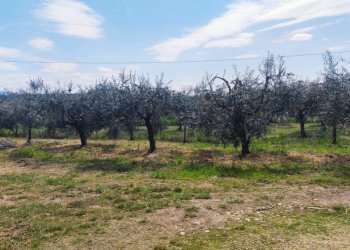stone farmhouse umbria (16).jpg - Casale VIA DEL POGGIO, Monte Castello di Vibio - foto 9