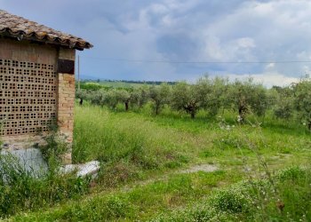 stone farmhouse umbria (5).jpg - Casale VIA DEL POGGIO, Monte Castello di Vibio - foto 12