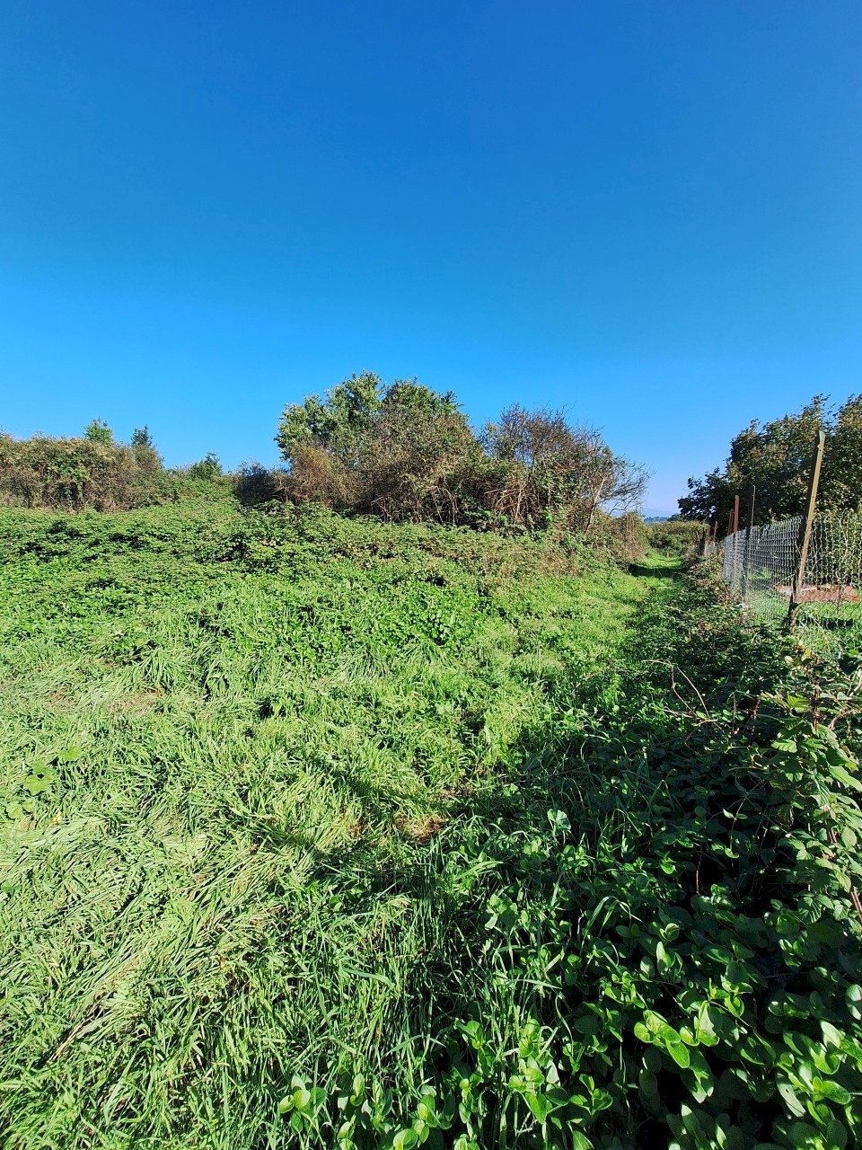 20241030_134631.jpg - Terreno agricolo Via Monte delle Rose, Morlupo - foto 1