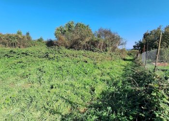 20241030_134631.jpg - Terreno agricolo Via Monte delle Rose, Morlupo - foto 1