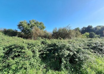 20241030_134711.jpg - Terreno agricolo Via Monte delle Rose, Morlupo - foto 2