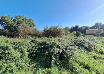 20241030_134708.jpg - Terreno agricolo Via Monte delle Rose, Morlupo - foto 4