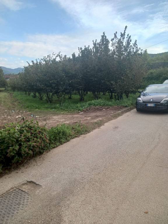 Terreno agricolo via Nocelleto, Mercato San Severino - foto 3