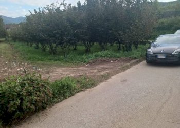 Terreno agricolo via Nocelleto, Mercato San Severino - foto 3