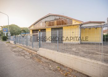 Capannone Reggio nell'Emilia - foto 5