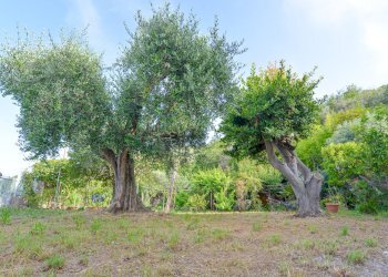 Toirano nuove-23.jpg - Two-room apartment Via per Toirano 3, Toirano - photo 30