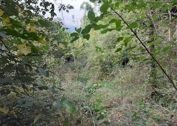 Casa indipendente Via Generale Armando Pezzana, Caprie - foto 8