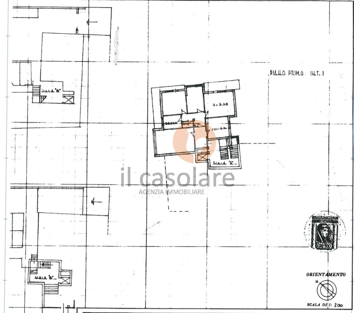 Apartment via Dante Alighieri, Fano - floor plans 1